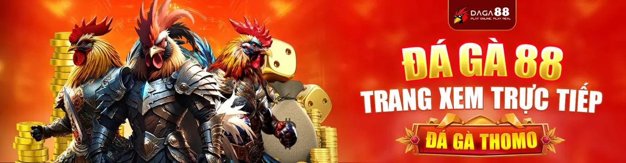 Đá gà trực tuyến tại htyw3339net nhà cái